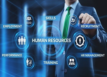 Our Services